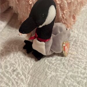 Cute Beanie Baby Duck. Hang tag in protective plastic case. As new.